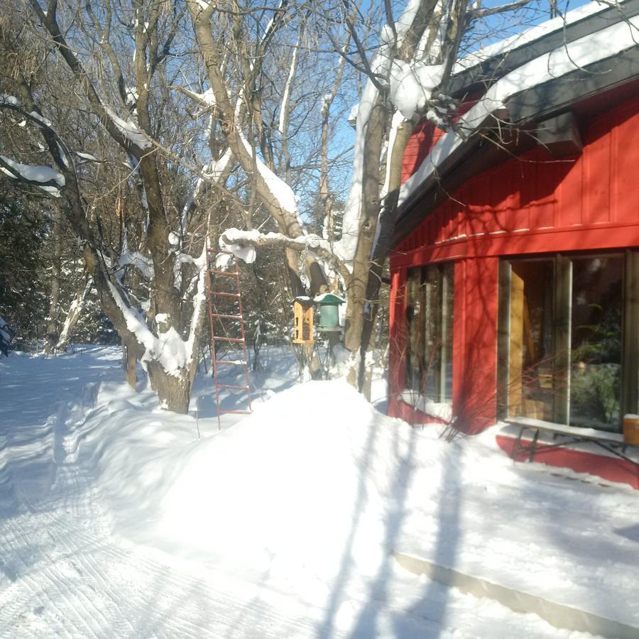 The Retreat House Blue Mountain Hotel Blue Mountains Bagian luar foto