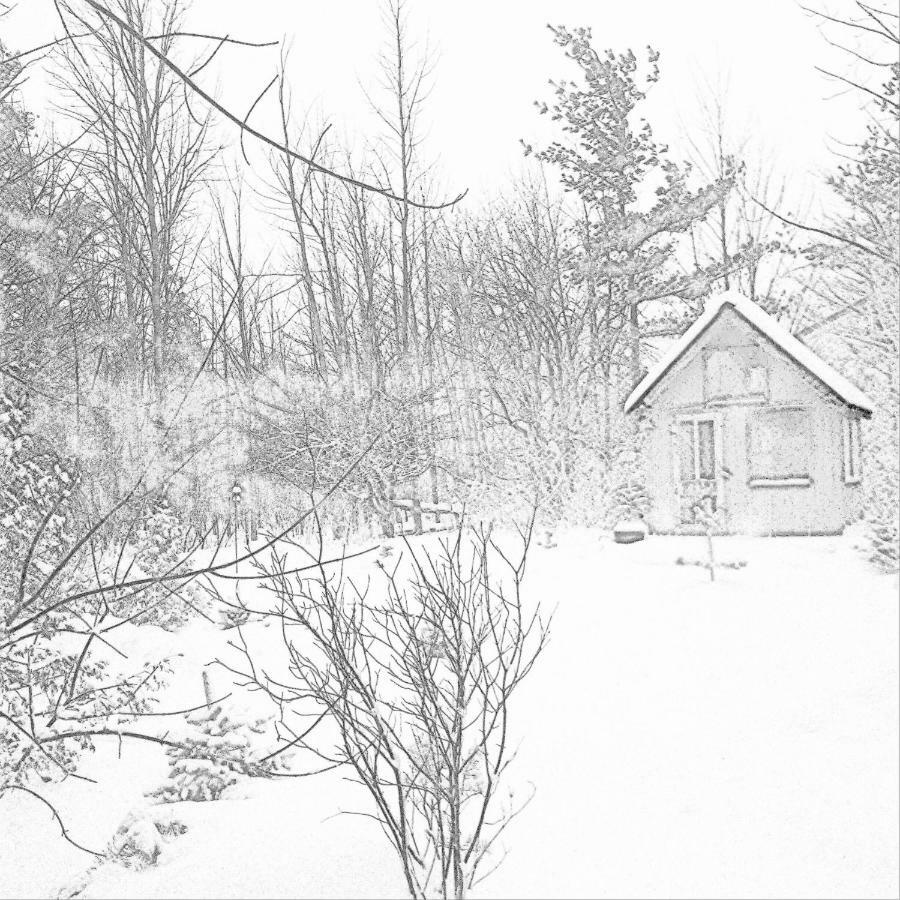 The Retreat House Blue Mountain Hotel Blue Mountains Bagian luar foto